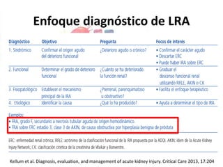Enfoque diagnóstico de LRA
Kellum et al. Diagnosis, evaluation, and management of acute kidney injury. Critical Care 2013, 17:204
 