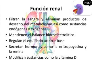 Función renal
• Filtran la sangre y eliminan productos de
desecho del metabolismo así como sustancias
endógenas y exógenas
• Mantienen el balance hidroelectrolítico
• Regulan el equilibrio ácido – base
• Secretan hormonas como la eritropoyetina y
la renina
• Modifican sustancias como la vitamina D
 