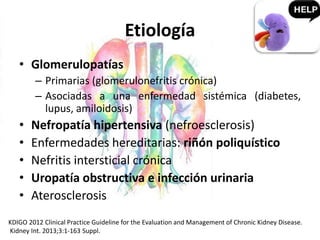 Etiología
• Glomerulopatías
– Primarias (glomerulonefritis crónica)
– Asociadas a una enfermedad sistémica (diabetes,
lupus, amiloidosis)
• Nefropatía hipertensiva (nefroesclerosis)
• Enfermedades hereditarias: riñón poliquístico
• Nefritis intersticial crónica
• Uropatía obstructiva e infección urinaria
• Aterosclerosis
KDIGO 2012 Clinical Practice Guideline for the Evaluation and Management of Chronic Kidney Disease.
Kidney Int. 2013;3:1-163 Suppl.
 