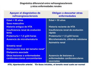 Diagnóstico diferencial entre nefroangioesclerosis
y otras enfermedades renales
Apoyan el diagnóstico de
nefroangioesclerosis
Obligan a descartar otras
enfermedades
Edad > 55 años
Sexo masculino
Historia antigua de HTA
Insuficiencia renal de evolución
lenta
Proteinuria < 1,5 g/24 horas
Ausencia de microhematuria
Simetría renal
Disminución leve del tamaño renal*
Dislipemia asociada
Otras lesiones o enfermedades
cardiovasculares concomitantes
Edad < 55 años
Historia reciente de HTA
Insuficiencia renal de evolución
rápida
Proteinuria > 1,5 g/24 horas
Microhematuria, cilindros celulares
Asimetría renal
Ausencia de lesiones o
enfermedades cardiovasculares
asociadas
HTA, hipertensión arterial. *En fases iniciales, el tamaño renal suele ser normal
 