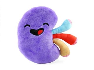 IRA y ERC taller Programa de salud renal ptx