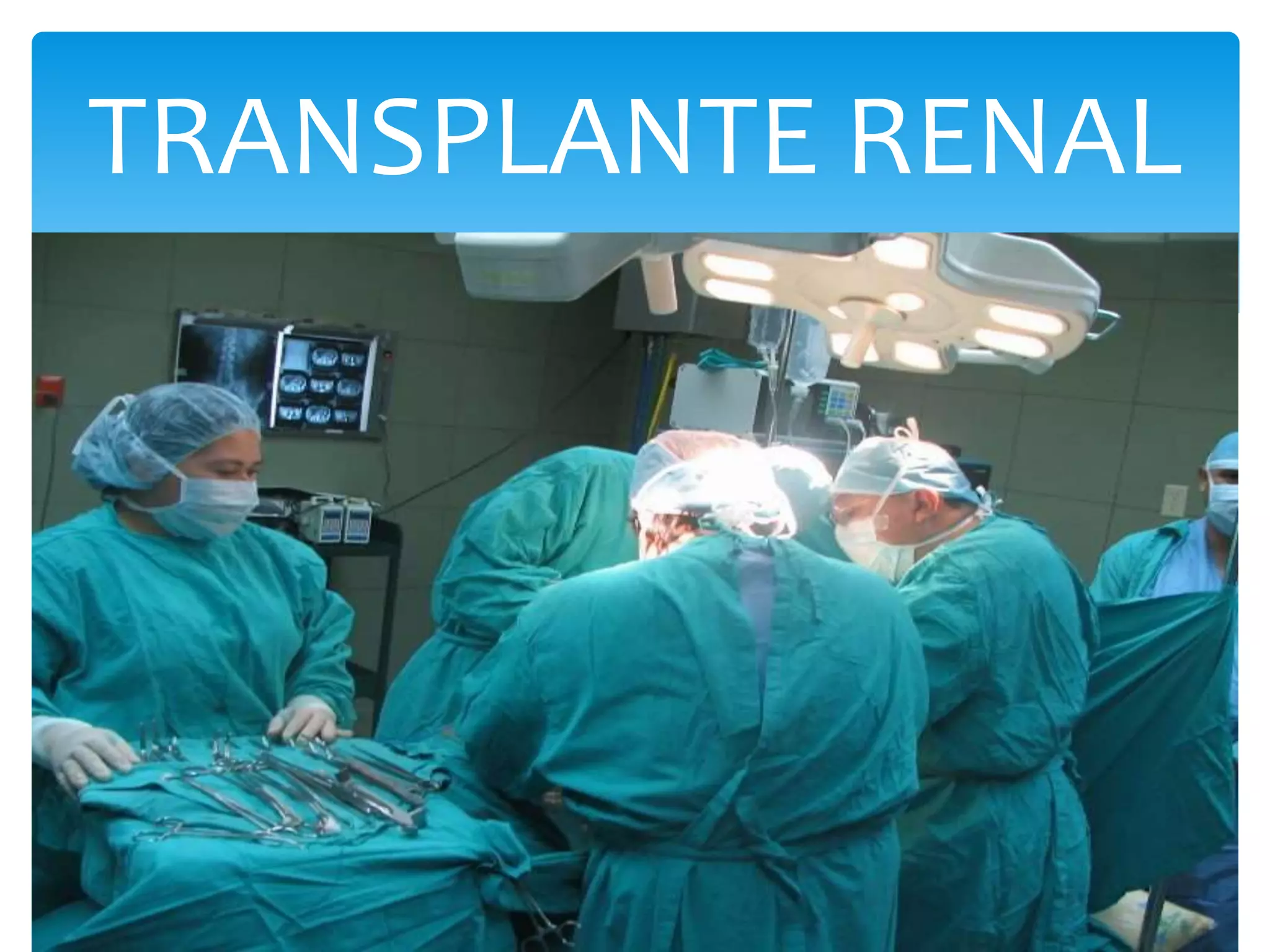 TRANSPLANTE RENAL
 