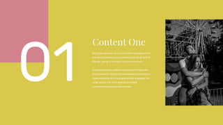 Bring the table win-win survival them strategies from
ensure the proactive more people dominan at end of
the day, going to forward, for new normal out.
Empowered more markets via plug and the play the
them networks. Proactively envisioned multimedia to
based expertise and cross growth end strategies the
other quickly out more optimal processes
collaboratively peoples administrate..
 
