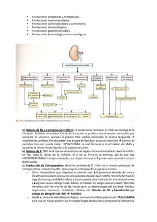 • Alteraciones endocrinas y metabólicas.
• Alteraciones neuromusculares.
• Alteraciones cardiovasculares y pulmonares.
• Alteraciones dermatológicas.
• Alteraciones gastrointestinales.
• Alteraciones hematológicas e inmunológicas
a) Balance de Na y equilibrio electrolítico:Encondicionesnormales,el riñón se encarga de la
filtración. Al haber una alteración de ésta función se produce una retención de líquido que
aumenta el volumen vascular o genera HTA; ambas potencian la misma respuesta 
Insuficiencia cardíaca.Porotra parte,hay escape de líquidoal espaciointersticial  Edema.En
períodos iniciales puede haber HIPOVOLEMIA, la cual favorece a la activación de SRAA y
exacerba la retención de líquidos y la vasoconstricción.
b) Balance de K: 90% del Kque se encuentraenel organismo es eliminado a través del riñón.
En IRC, dada la lesión de la nefrona, el K no se filtra ni se elimina, por lo que hay
HIPERPOTASEMIA (Enetapasavanzadas;en etapas iniciales el K puede estar normal e incluso
disminuido)
c) Producción de Eritropoyetina: (Función endocrina) El riñón es el mayor productor de
eritropoyetina. Cuando hay IRC, disminuye la eritropoyetina y genera anemia.
- Otros mecanismos que impulsan la anemia son: 1.la presencia elevada de urea y
creatininaensangre,los cualessonsustanciastóxicas que interfieren en la formación
de glóbulosrojosenMédulaÓseaydisminuyenlavidamediade loselementosformes
y 2.algunascausas iatrogénicas(diálisis,extracción de sangre para pruebas). Mientras
menores sean los niveles de Hb, mayor será la sintomatología del paciente: Palidez,
taquicardia, cansancio, debilidad, cefalea, etc. Niveles de Hb y hematocrito por
debajo de 10mg/dl y de 30%  ANEMIA.
- Desde el puntode vista fisiopatológico, la anemia también potencia la TAQUICARDIA
para que un mayor porcentaje de sangre llegue alostejidosycompense la deficiencia
 