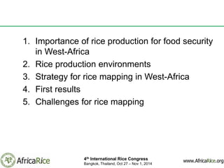 Mapping rice and rice growing environments in West-Africa using remote ...