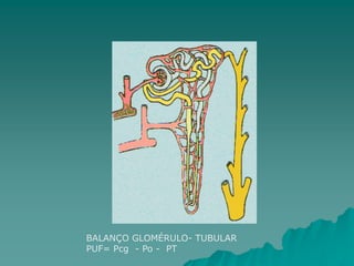 BALANÇO GLOMÉRULO- TUBULAR
PUF= Pcg - Po - PT
 