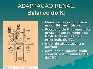 ADAPTAÇÃO RENAL:
Balanço do K:
 Maior excreção devido a
maior FG por néfron.
 Secreção de K aumentada
devido a um aumento na
Na-K ATPase das céls
principais do TC.
 Nível de aldosterona é
normal.
 Com isso a hipercalemia
só ocorre em fases finais
da IRC.
 