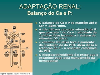 ADAPTAÇÃO RENAL:
Balanço do Ca e P:
 O balanço do Ca e P se mantém até o
Ccr = 25ml/mim.
 A de néfrons provoca retenção de P
que acarreta  do Ca e  atividade da
1hidroxilase levando a  síntese de
vitamina D3 ativa.
  vitamina D3 ativa leva a aumento
da produção do do PTH. Além disso a
retenção de P  a resposta calcêmica
do PTH.
 O hiperparatiroidismo é o preço que o
organimo paga pela manutenção da
homeostase
 