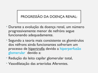 PROGRESSÃO DA DOENÇA RENAL:
• Durante a evolução da doença renal, um número
progressivamente menor de nefróns segue
funcionando adequadamente.
• Segundo a teoria mais consistente os glomérulos
dos néfrons ainda funcionantes sofreriam um
processo de hipertrofia devido a hiperperfusão
glomerular devido a:
• Redução do leito capilar glomerular total,
• Vasodilatação das arteríolas Aferentes.
 