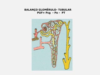 BALANÇO GLOMÉRULO- TUBULAR
PUF= Pcg - Po - PT
 