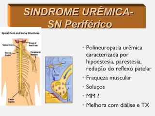 • Polineuropatia urêmica
caracterizada por
hipoestesia, parestesia,
redução do reflexo patelar
• Fraqueza muscular
• Soluços
• MM ?
• Melhora com diálise e TX
SINDROME URÊMICA-SINDROME URÊMICA-
SN PeriféricoSN Periférico
 
