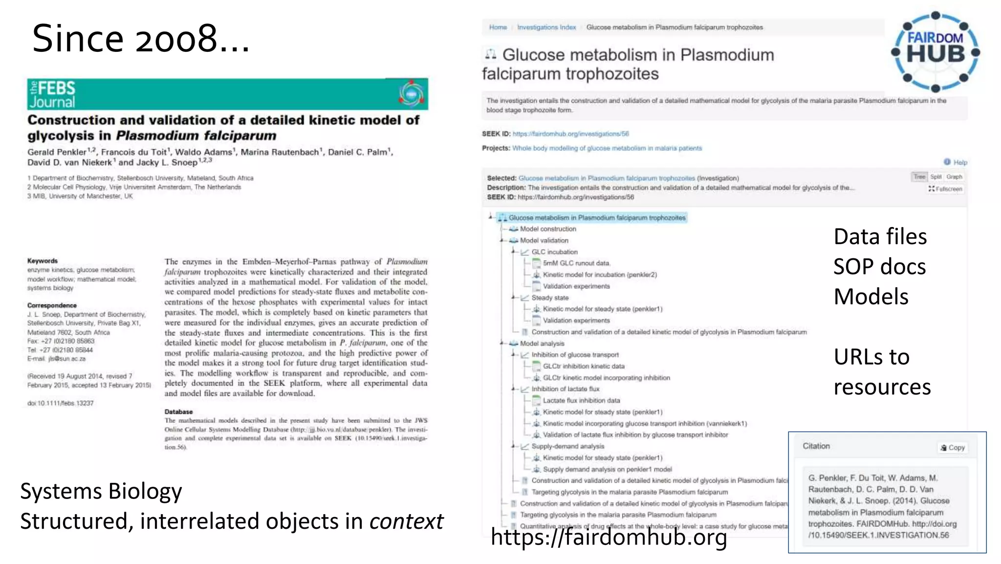 Systems Biology
Structured, interrelated objects in context
Data files
SOP docs
Models
URLs to
resources
Since 2008…
https://fairdomhub.org
 