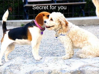 Secret for you

 