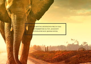 ДЕЛАЕМ ВЕРСТКУ, ИСПОЛЬЗУЯ HTML5 И CSS3
ПРОГРАММИРУЕМ НА PHP, JAVASCRIPT
ИСПОЛЬЗУЕМ БАЗУ ДАННЫХ MYSQL
 