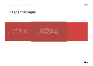 ГАЙД ПО УПРАВЛЕНИЮ ПРОМО-САЙТОМ “MOLINA“
АИТИ
5
ПРЕДЗАГРУЗЩИК
 