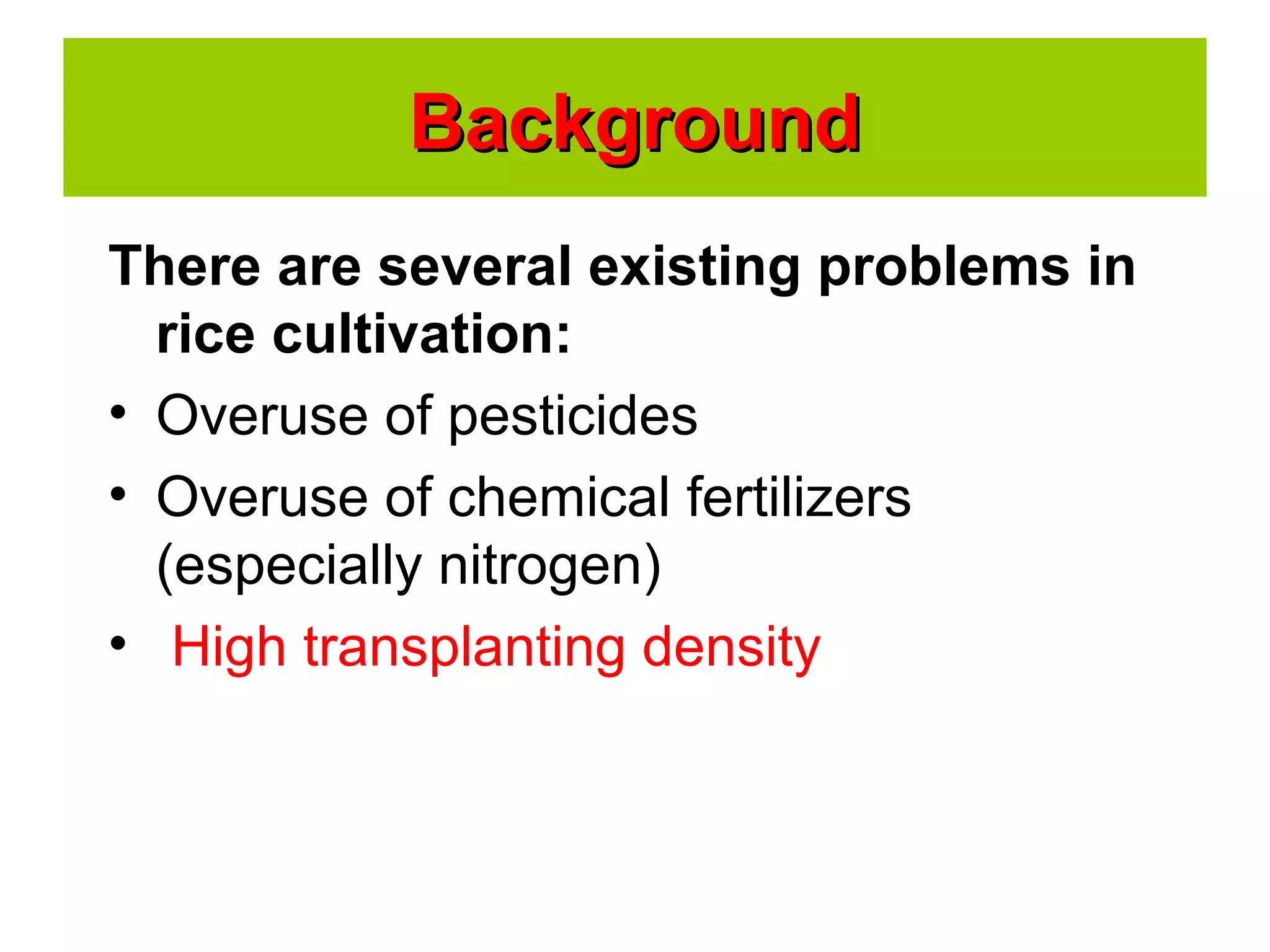There are several existing problems in
rice cultivation:
• Overuse of pesticides
• Overuse of chemical fertilizers
(especially nitrogen)
• High transplanting density
BackgroundBackground
 