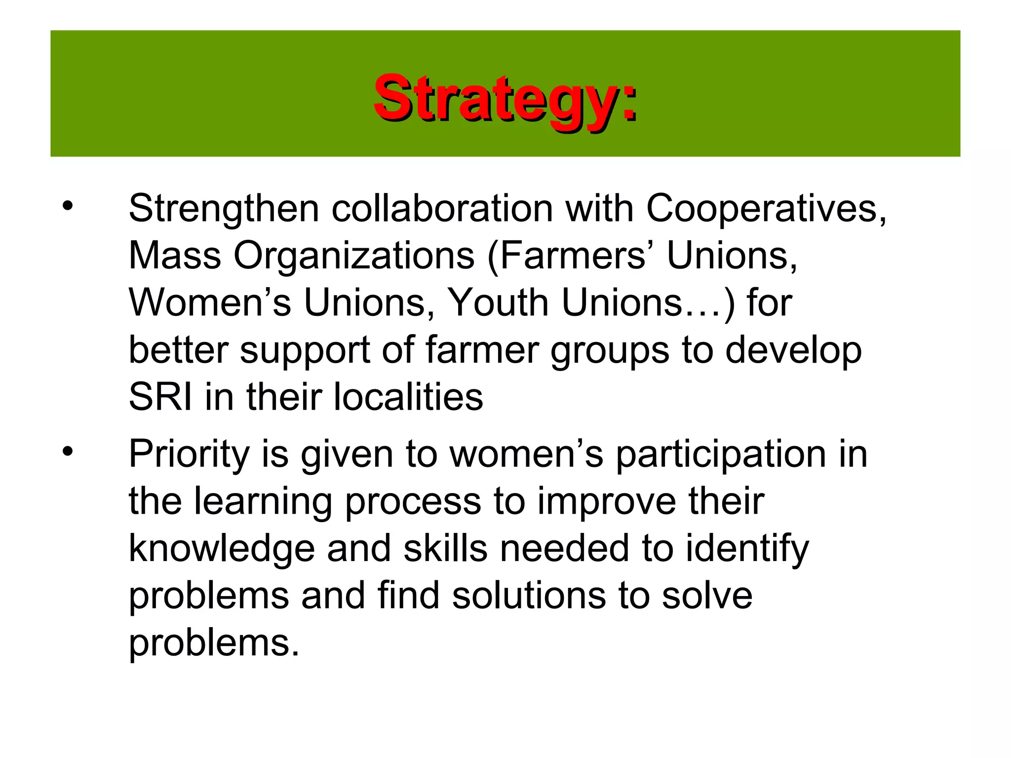 Strategy:Strategy:
• Strengthen collaboration with Cooperatives,
Mass Organizations (Farmers’ Unions,
Women’s Unions, Youth Unions…) for
better support of farmer groups to develop
SRI in their localities
• Priority is given to women’s participation in
the learning process to improve their
knowledge and skills needed to identify
problems and find solutions to solve
problems.
 