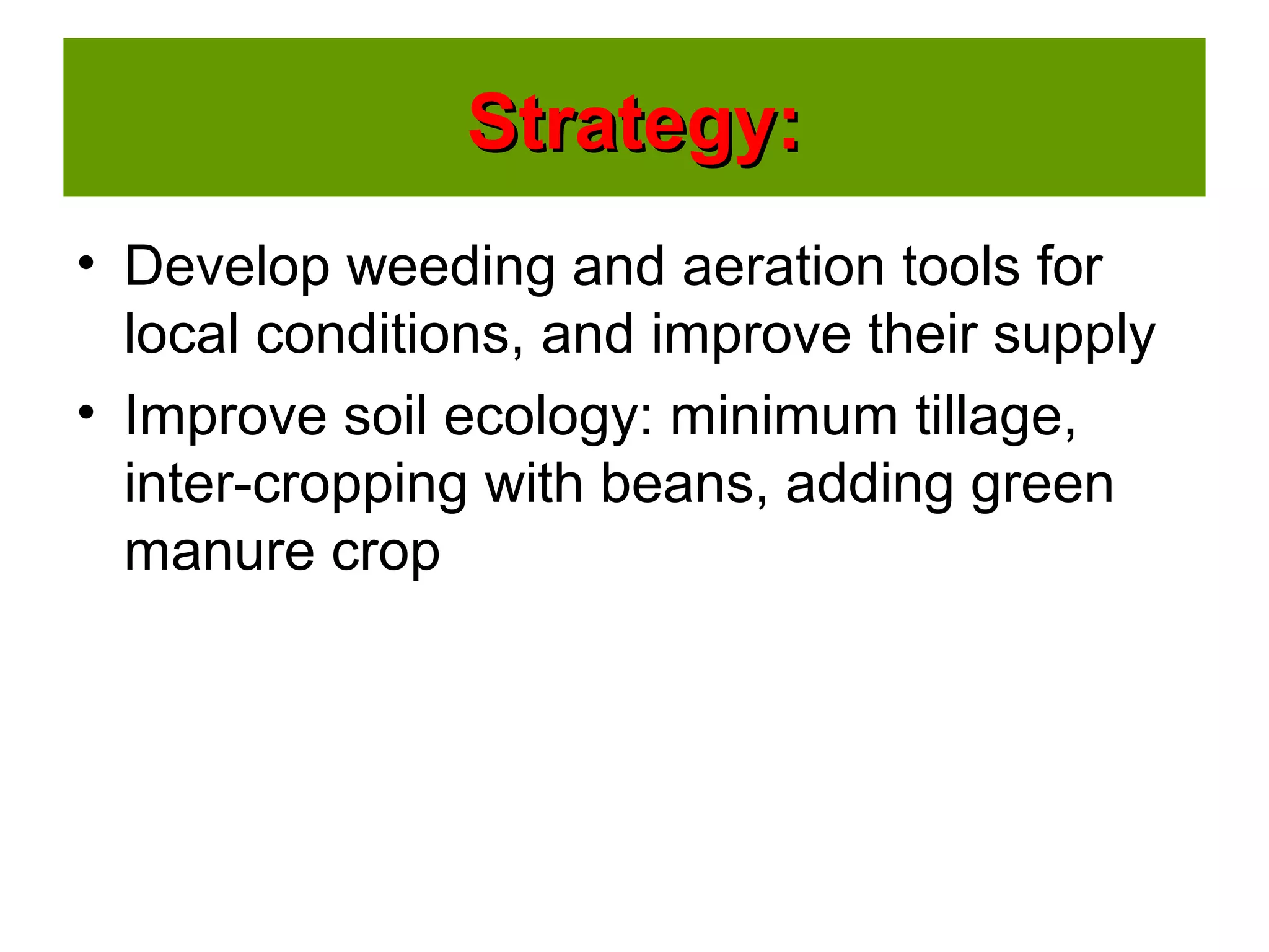 • Develop weeding and aeration tools for
local conditions, and improve their supply
• Improve soil ecology: minimum tillage,
inter-cropping with beans, adding green
manure crop
Strategy:Strategy:
 