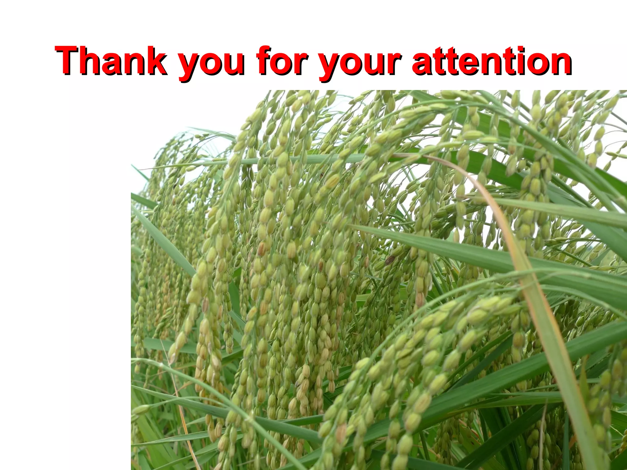 Thank you for your attentionThank you for your attention
 