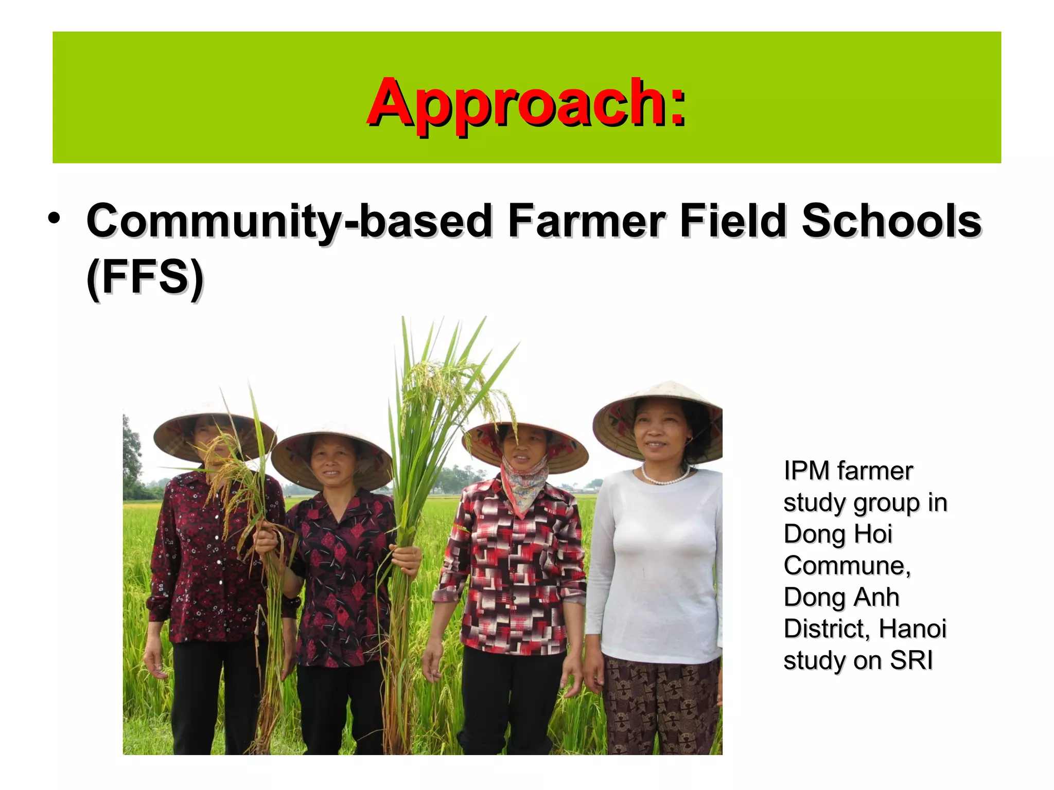 • Community-based Farmer Field SchoolsCommunity-based Farmer Field Schools
(FFS)(FFS)
Approach:Approach:
IPM farmerIPM farmer
study group instudy group in
Dong HoiDong Hoi
Commune,Commune,
Dong AnhDong Anh
District, HanoiDistrict, Hanoi
study on SRIstudy on SRI
 