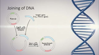 Recombinant DNA Technology | PPTX