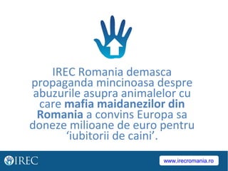 IREC Romania demasca
propaganda mincinoasa despre
abuzurile asupra animalelor cu
care mafia maidanezilor din
Romania a convins Europa sa
doneze milioane de euro pentru
‘iubitorii de caini’.
www.irecromania.rowww.irecromania.ro
 