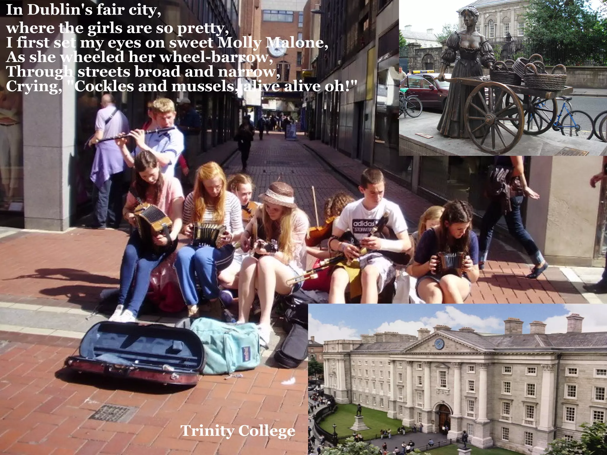 In Dublin's fair city,
where the girls are so pretty,
I first set my eyes on sweet Molly Malone,
As she wheeled her wheel-barrow,
Through streets broad and narrow,
Crying, "Cockles and mussels, alive alive oh!"
Trinity College