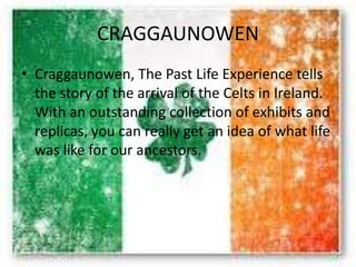 CRAGGAUNOWEN
• Craggaunowen, The Past Life Experience tells
the story of the arrival of the Celts in Ireland.
With an outstanding collection of exhibits and
replicas, you can really get an idea of ​​what life
was like for our ancestors.
 