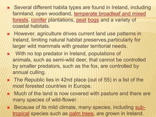 











Several different habita types are found in Ireland, including
farmland, open woodland, temperate broadleaf and mixed
forests, conifer plantations, peat bogs and a variety of
coastal habitats.
However, agriculture drives current land use patterns in
Ireland, limiting natural habitat preserves,particularly for
larger wild mammals with greater territorial needs.
With no top predator in Ireland, populations of
animals, such as semi-wild deer, that cannot be controlled
by smaller predators, such as the fox, are controlled by
annual culling.
The Republic lies in 42nd place (out of 55) in a list of the
most forested countries in Europe.
Much of the land is now covered with pasture and there are
many species of wild-flower.
Because of its mild climate, many species, including subtropical species such as palm trees, are grown in Ireland.

 