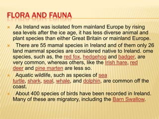 FLORA AND FAUNA








As Ireland was isolated from mainland Europe by rising
sea levels after the ice age, it has less diverse animal and
plant species than either Great Britain or mainland Europe.
There are 55 mamal species in Ireland and of them only 26
land mammal species are considered native to Ireland. ome
species, such as, the red fox, hedgehog and badger, are
very common, whereas others, like the Irish hare, red
deer and pine marten are less so.
Aquatic wildlife, such as species of sea
turtle, shark, seal, whale, and dolphin, are common off the
coast.
About 400 species of birds have been recorded in Ireland.
Many of these are migratory, including the Barn Swallow.

 