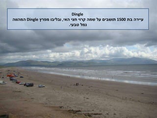 Dingle עיירה בת  1500  תושבים על שמה קרוי חצי האי ,  ובליבו מפרץ  Dingle   המהווה נמל טבעי . 