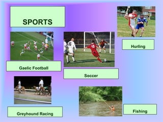 SPORTSHurlingGaelicFootballSoccerFishingGreyhoundRacing