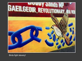 Birds fight slavery!
 