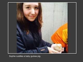 Sophie cuddles a baby guinea pig.
 