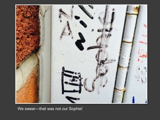 We swear—that was not our Sophie!
 