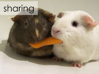 sharing