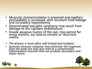 • Muscular microcirculation is impaired and capillary
  permeability is increased, with resultant fluid leakage
  and circulatory hypovolemia
• Disseminated vasculitic syndrome may result from
  damage to the capillary endothelium.
• Invade aqueous humor of the eye, may persist for
  many months, occ lead to chronic or recurrent
  uveitis.
• The disease is most often self-limited and nonfatal.
• Systemic immune response may eliminate the organism
  from the body but may also lead to a symptomatic
  inflammatory reaction that can produce secondary end-
  organ injury
 