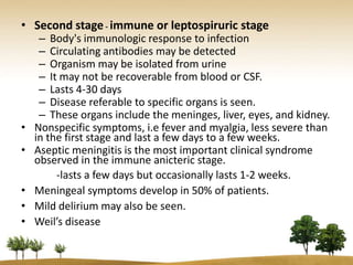 • Second stage - immune or leptospiruric stage
     – Body's immunologic response to infection
     – Circulating antibodies may be detected
     – Organism may be isolated from urine
     – It may not be recoverable from blood or CSF.
     – Lasts 4-30 days
     – Disease referable to specific organs is seen.
     – These organs include the meninges, liver, eyes, and kidney.
•   Nonspecific symptoms, i.e fever and myalgia, less severe than
    in the first stage and last a few days to a few weeks.
•   Aseptic meningitis is the most important clinical syndrome
    observed in the immune anicteric stage.
         -lasts a few days but occasionally lasts 1-2 weeks.
•   Meningeal symptoms develop in 50% of patients.
•   Mild delirium may also be seen.
•   Weil’s disease
 