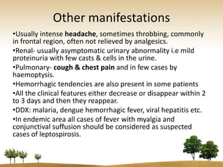 Other manifestations
•Usually intense headache, sometimes throbbing, commonly
in frontal region, often not relieved by analgesics.
•Renal- usually asymptomatic urinary abnormality i.e mild
proteinuria with few casts & cells in the urine.
•Pulmonary- cough & chest pain and in few cases by
haemoptysis.
•Hemorrhagic tendencies are also present in some patients
•All the clinical features either decrease or disappear within 2
to 3 days and then they reappear.
•DDX: malaria, dengue hemorrhagic fever, viral hepatitis etc.
•In endemic area all cases of fever with myalgia and
conjunctival suffusion should be considered as suspected
cases of leptospirosis.
 