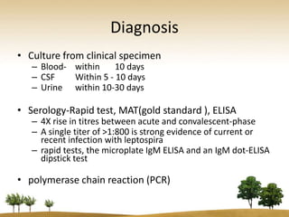 Diagnosis
• Culture from clinical specimen
   – Blood- within     10 days
   – CSF    Within 5 - 10 days
   – Urine within 10-30 days

• Serology-Rapid test, MAT(gold standard ), ELISA
   – 4X rise in titres between acute and convalescent-phase
   – A single titer of >1:800 is strong evidence of current or
     recent infection with leptospira
   – rapid tests, the microplate IgM ELISA and an IgM dot-ELISA
     dipstick test

• polymerase chain reaction (PCR)
 