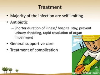 Treatment
• Majority of the infection are self limiting
• Antibiotic
  – Shorter duration of illness/ hospital stay, prevent
    urinary shedding, rapid resolution of organ
    impairment
• General supportive care
• Treatment of complication
 