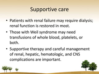 Supportive care
• Patients with renal failure may require dialysis;
  renal function is restored in most.
• Those with Weil syndrome may need
  transfusions of whole blood, platelets, or
  both.
• Supportive therapy and careful management
  of renal, hepatic, hematologic, and CNS
  complications are important.
 