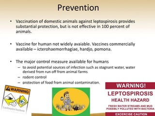 Prevention
• Vaccination of domestic animals against leptospirosis provides
  substantial protection, but is not effective in 100 percent of
  animals.

• Vaccine for human not widely avaiable. Vaccines commercially
  available – icterohaemorrhagiae, hardjo, pomona.

• The major control measure available for humans
   – to avoid potential sources of infection such as stagnant water, water
     derived from run off from animal farms
   – rodent control
   – protection of food from animal contamination.
 