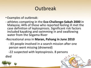 Outbreak
• Examples of outbreak:
- athletes competing in the Eco-Challenge-Sabah 2000 in
  Malaysia; 44% of those who reported feeling ill met the
  case definition of leptospirosis. Significant risk factors
  included kayaking and swimming in and swallowing
  water from the Segama River
-Recreational area in Maran, Pahang in June 2010
   - 83 people involved in a search mission after one
   person went missing (drowned)
   -22 suspected with leptospirosis. 8 persons
died
 