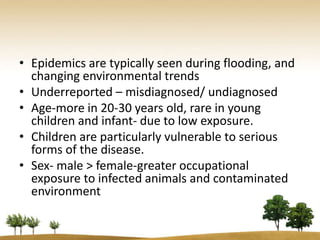 • Epidemics are typically seen during flooding, and
  changing environmental trends
• Underreported – misdiagnosed/ undiagnosed
• Age-more in 20-30 years old, rare in young
  children and infant- due to low exposure.
• Children are particularly vulnerable to serious
  forms of the disease.
• Sex- male > female-greater occupational
  exposure to infected animals and contaminated
  environment
 