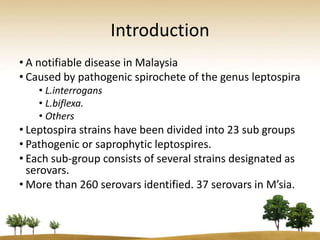 Introduction
• A notifiable disease in Malaysia
• Caused by pathogenic spirochete of the genus leptospira
    • L.interrogans
    • L.biflexa.
    • Others
• Leptospira strains have been divided into 23 sub groups
• Pathogenic or saprophytic leptospires.
• Each sub-group consists of several strains designated as
  serovars.
• More than 260 serovars identified. 37 serovars in M’sia.
 