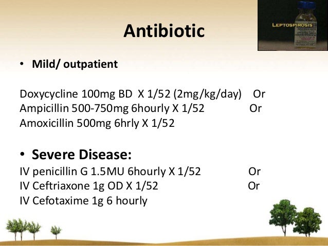leptospirosis