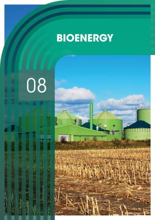 08
BIOENERGY
Jan Otto © Gettyimages.com
 