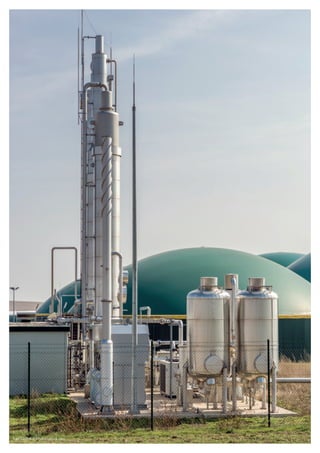 Ralf Geithe © Shutterstock.com
 