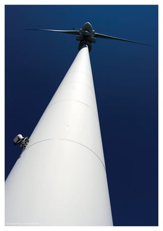 Zacarias da Mata © Shutterstock.com
 